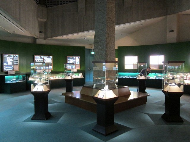 🏛️ 포사 마그나 박물관(フォッサマグナミュージアム) 이미지 4